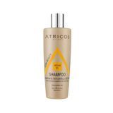 Atricos Milano Moisturizing Shampoo with Argan Oil