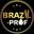 Эксперт Brazil-Prof